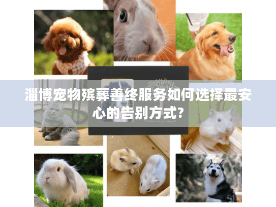 淄博宠物殡葬善终服务如何选择最安心的告别方式?