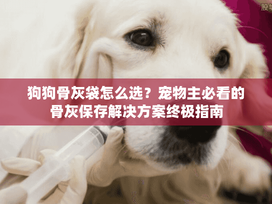 狗狗骨灰袋怎么选？宠物主必看的骨灰保存解决方案终极指南