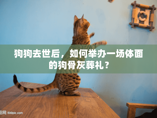 狗狗去世后，如何举办一场体面的狗骨灰葬礼？
