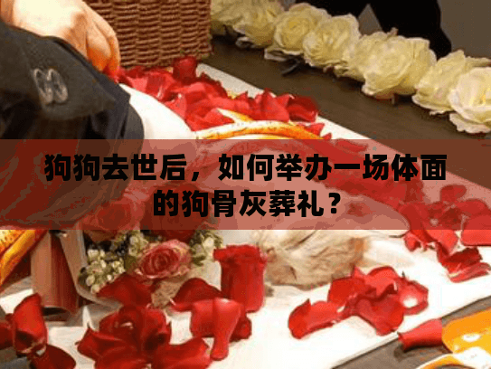 狗狗去世后，如何举办一场体面的狗骨灰葬礼？
