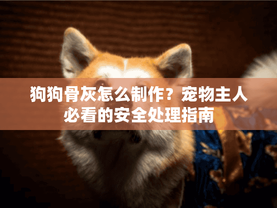 狗狗骨灰怎么制作？宠物主人必看的安全处理指南