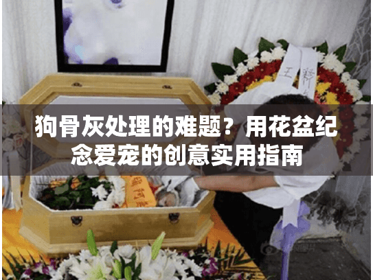 狗骨灰处理的难题？用花盆纪念爱宠的创意实用指南