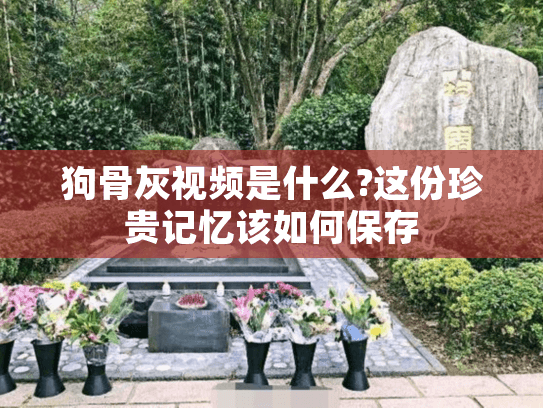 狗骨灰视频是什么?这份珍贵记忆该如何保存