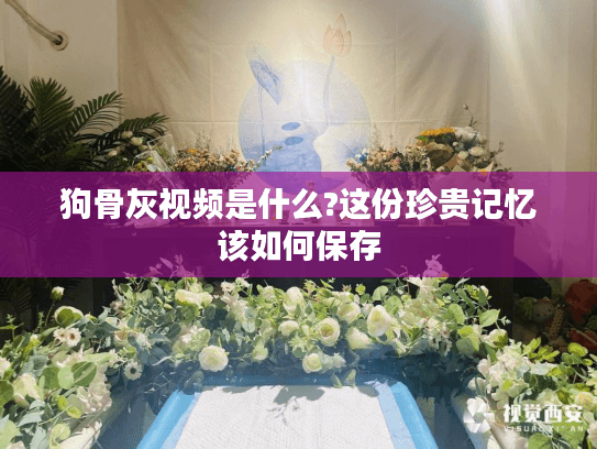狗骨灰视频是什么?这份珍贵记忆该如何保存