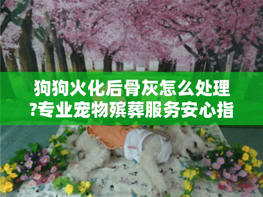 狗狗火化后骨灰怎么处理?专业宠物殡葬服务安心指南