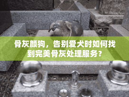 骨灰颜狗，告别爱犬时如何找到完美骨灰处理服务？