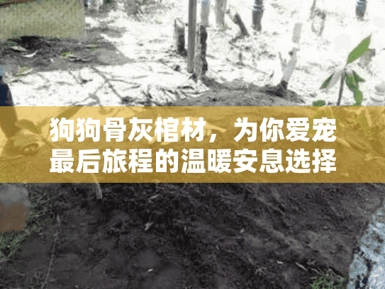 狗狗骨灰棺材，为你爱宠最后旅程的温暖安息选择