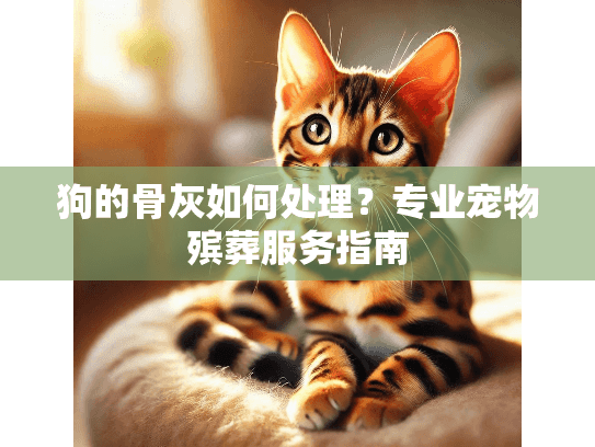 狗的骨灰如何处理？专业宠物殡葬服务指南
