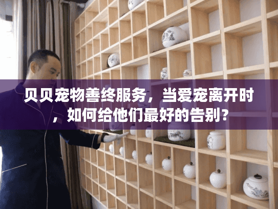 贝贝宠物善终服务，当爱宠离开时，如何给他们最好的告别？