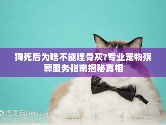 狗死后为啥不能埋骨灰?专业宠物殡葬服务指南揭秘真相