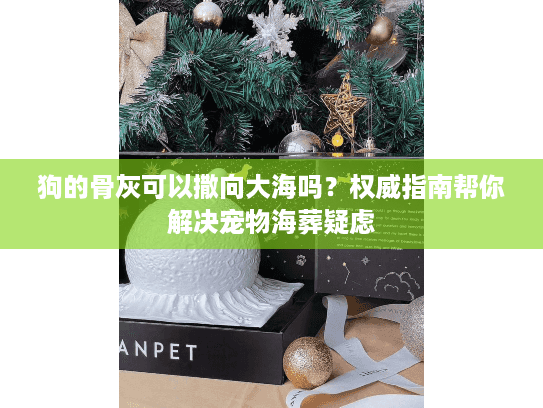 狗的骨灰可以撒向大海吗？权威指南帮你解决宠物海葬疑虑