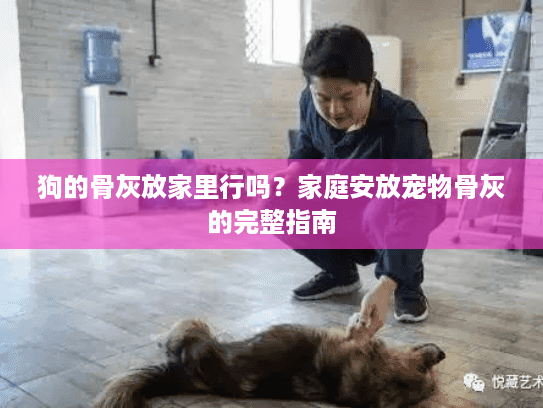 狗的骨灰放家里行吗？家庭安放宠物骨灰的完整指南