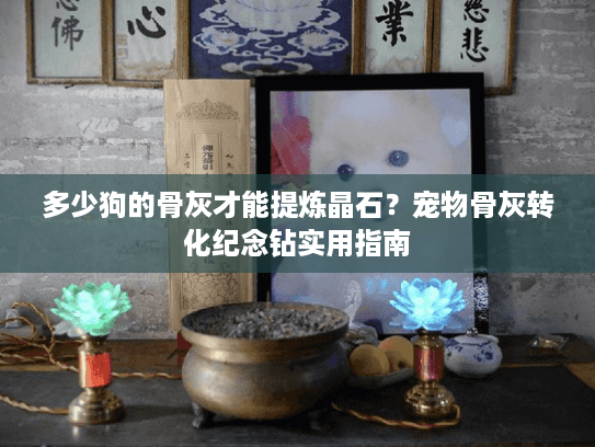 多少狗的骨灰才能提炼晶石？宠物骨灰转化纪念钻实用指南