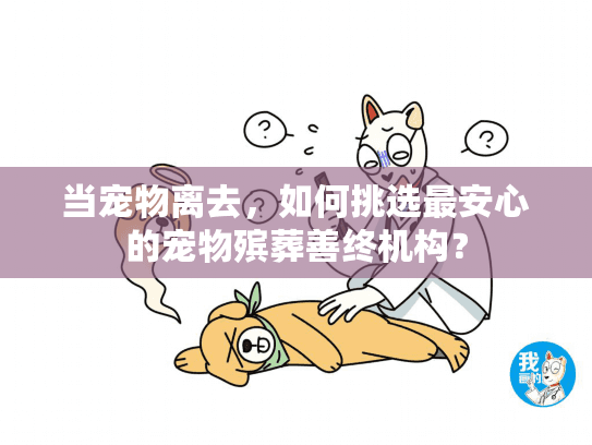 当宠物离去，如何挑选最安心的宠物殡葬善终机构？