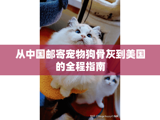 从中国邮寄宠物狗骨灰到美国的全程指南