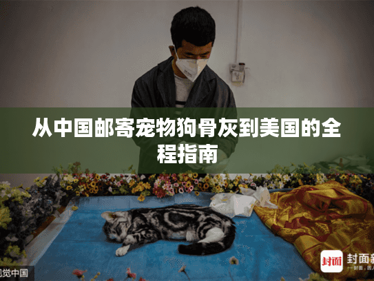 从中国邮寄宠物狗骨灰到美国的全程指南
