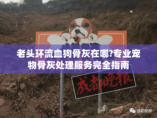 老头环流血狗骨灰在哪?专业宠物骨灰处理服务完全指南