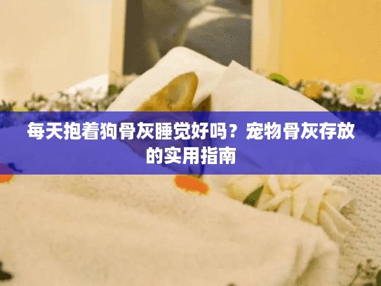 每天抱着狗骨灰睡觉好吗？宠物骨灰存放的实用指南