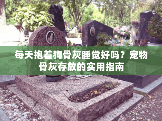 每天抱着狗骨灰睡觉好吗？宠物骨灰存放的实用指南