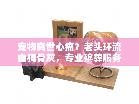 宠物离世心痛？老头环流血狗骨灰，专业殡葬服务终极指南