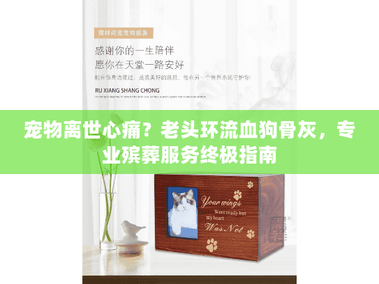 宠物离世心痛？老头环流血狗骨灰，专业殡葬服务终极指南