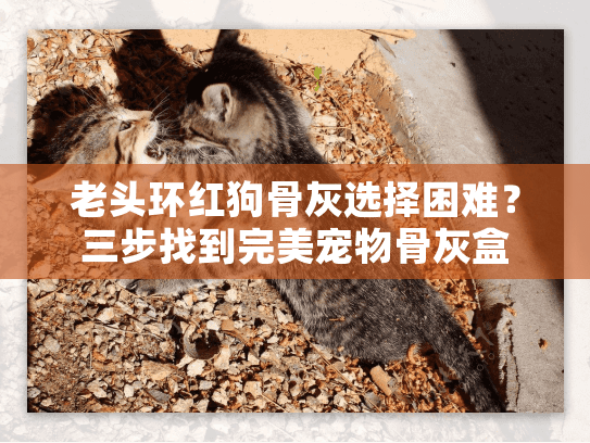 老头环红狗骨灰选择困难？三步找到完美宠物骨灰盒