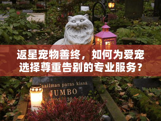 返星宠物善终，如何为爱宠选择尊重告别的专业服务？