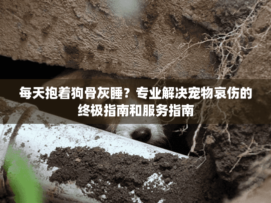 每天抱着狗骨灰睡？专业解决宠物哀伤的终极指南和服务指南