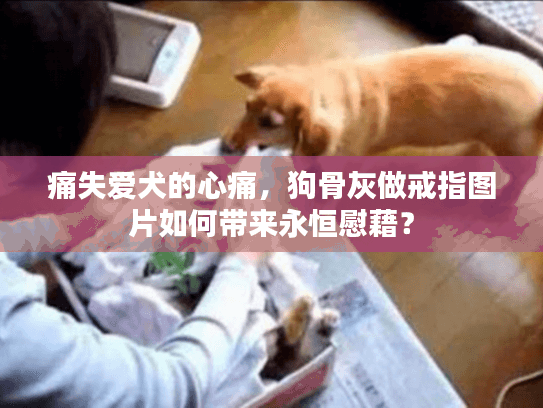 痛失爱犬的心痛，狗骨灰做戒指图片如何带来永恒慰藉？