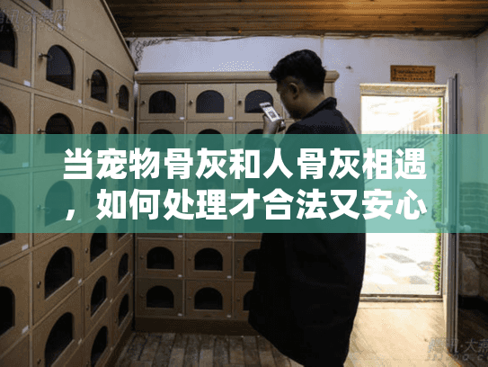 当宠物骨灰和人骨灰相遇，如何处理才合法又安心？