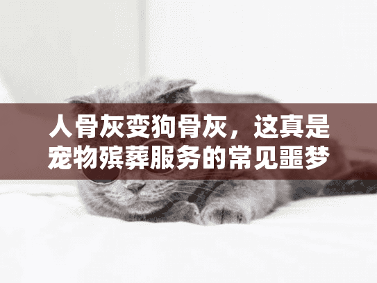 人骨灰变狗骨灰，这真是宠物殡葬服务的常见噩梦吗？