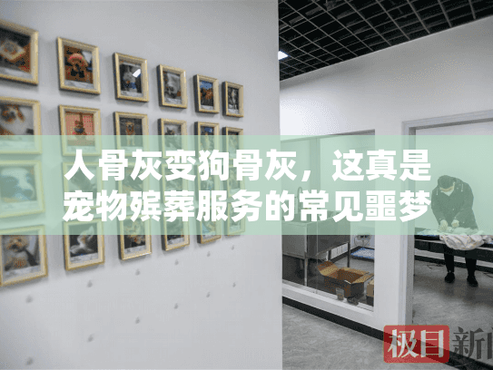人骨灰变狗骨灰，这真是宠物殡葬服务的常见噩梦吗？