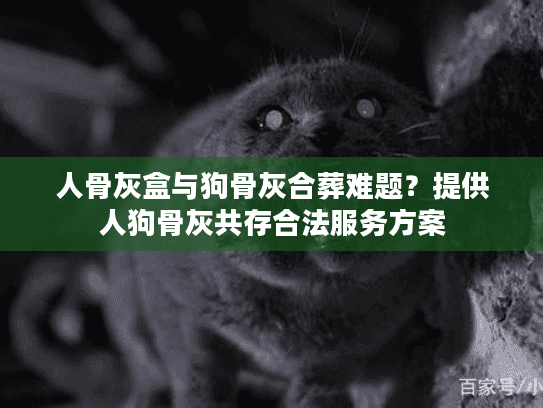 人骨灰盒与狗骨灰合葬难题？提供人狗骨灰共存合法服务方案