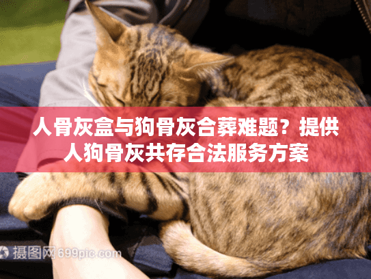 人骨灰盒与狗骨灰合葬难题？提供人狗骨灰共存合法服务方案