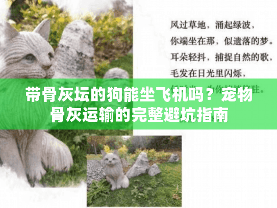 带骨灰坛的狗能坐飞机吗？宠物骨灰运输的完整避坑指南