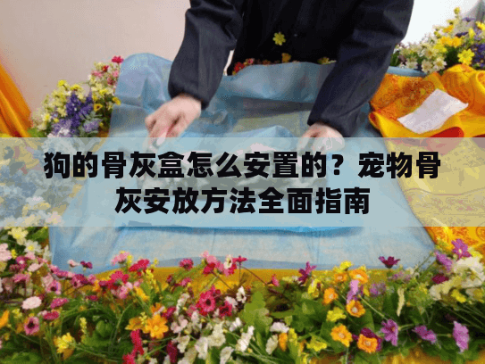 狗的骨灰盒怎么安置的？宠物骨灰安放方法全面指南