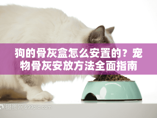 狗的骨灰盒怎么安置的？宠物骨灰安放方法全面指南
