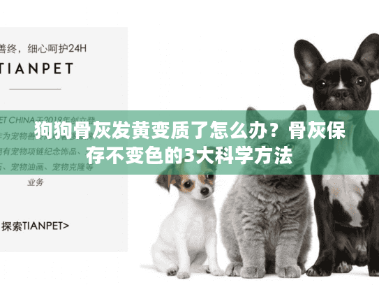 狗狗骨灰发黄变质了怎么办？骨灰保存不变色的3大科学方法