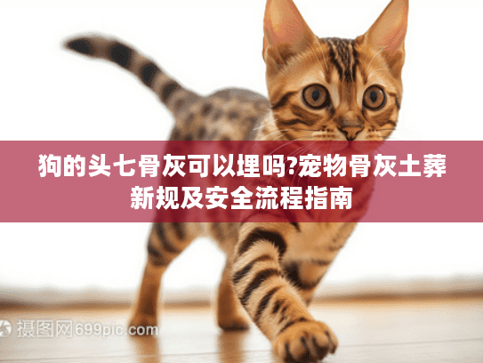 狗的头七骨灰可以埋吗?宠物骨灰土葬新规及安全流程指南