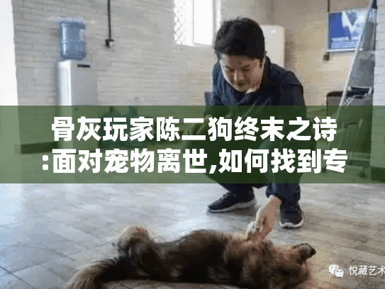 骨灰玩家陈二狗终末之诗:面对宠物离世,如何找到专业殡葬服务?