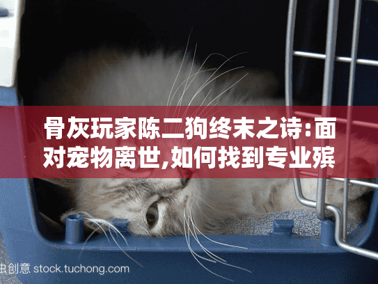 骨灰玩家陈二狗终末之诗:面对宠物离世,如何找到专业殡葬服务?