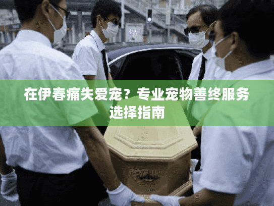在伊春痛失爱宠？专业宠物善终服务选择指南