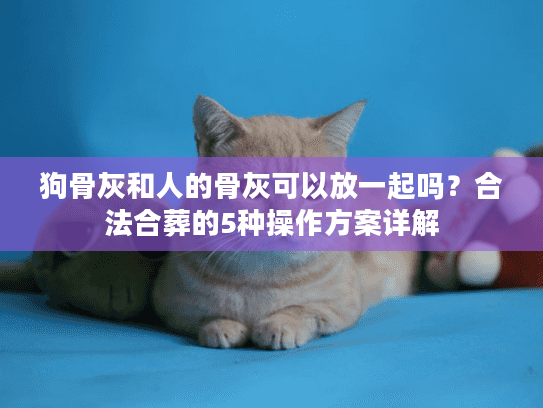 狗骨灰和人的骨灰可以放一起吗？合法合葬的5种操作方案详解