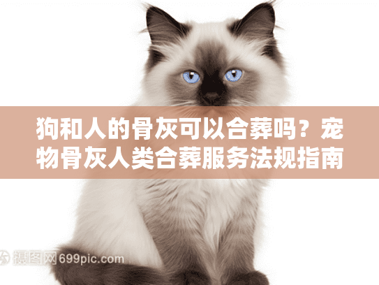 狗和人的骨灰可以合葬吗？宠物骨灰人类合葬服务法规指南