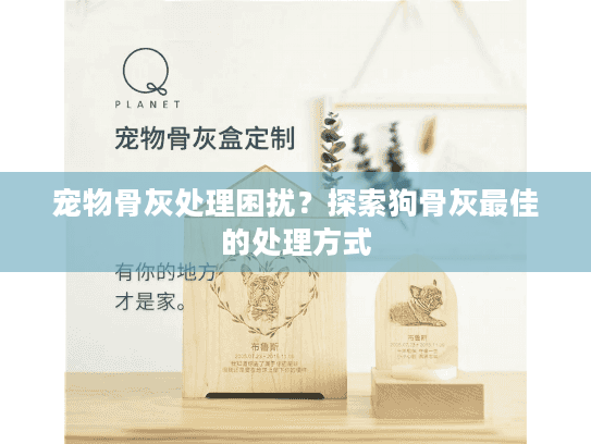 宠物骨灰处理困扰？探索狗骨灰最佳的处理方式