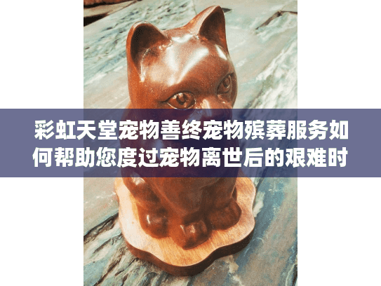 彩虹天堂宠物善终宠物殡葬服务如何帮助您度过宠物离世后的艰难时刻？