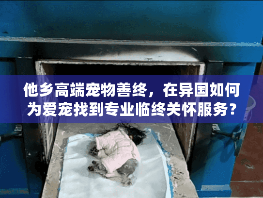 他乡高端宠物善终，在异国如何为爱宠找到专业临终关怀服务？