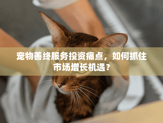 宠物善终服务投资痛点，如何抓住市场增长机遇？
