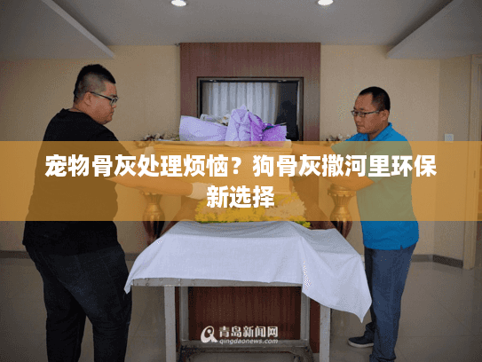 宠物骨灰处理烦恼？狗骨灰撒河里环保新选择