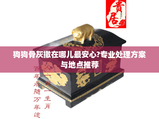狗狗骨灰撒在哪儿最安心?专业处理方案与地点推荐